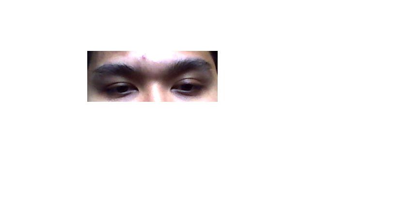 Posted Image